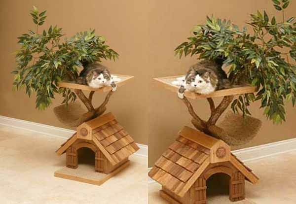 THE REASON THAT EXPLAINS CLEARLY WHY YOUR CAT NEEDS A CAT TREE