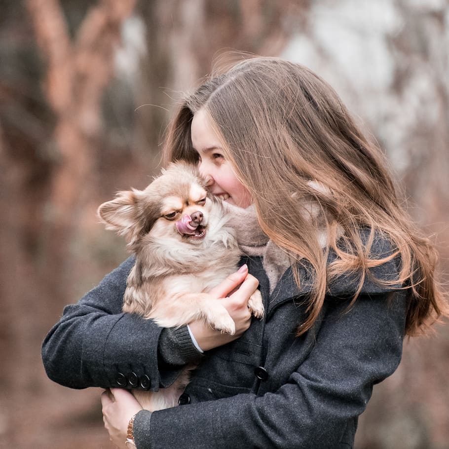 We All Love Dogs, But If You’re Struggling with Training Yours, Read This Article